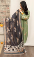 Urge - 3PC Embroidered Dhanak Fabric
